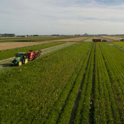 Mont-St-Michel-champs-salade-vue-haut Priméale