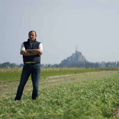 Producteur de carottes