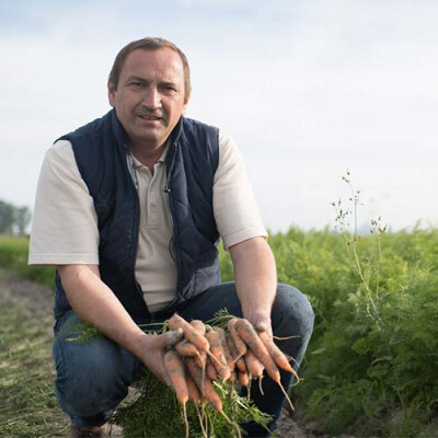 Producteur de carottes Baie du Mont Saint Michel