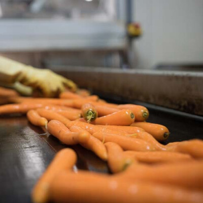 Station carottes Priméale