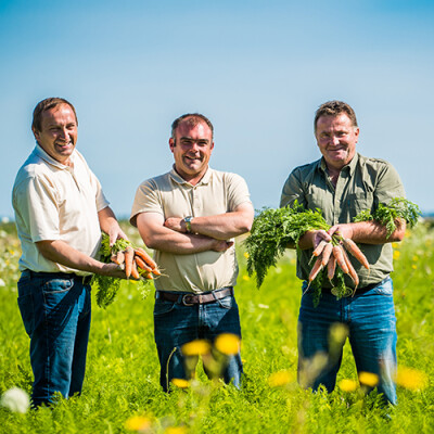 Producteurs de carottes de la Baie du Mont Saint Michel Priméale