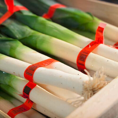 Colis Priméale de poireaux botte