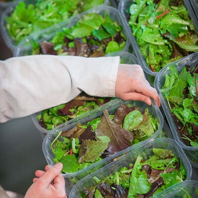 Jeunes pousses barquette Priméale