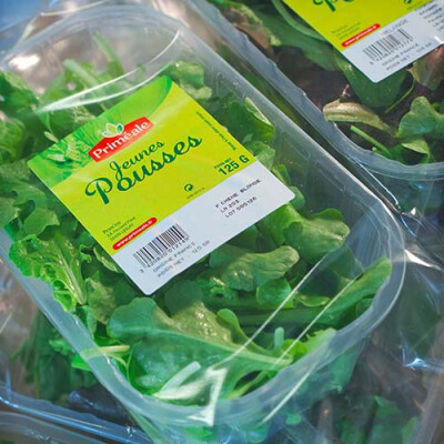 Jeunes pousses barquette Priméale