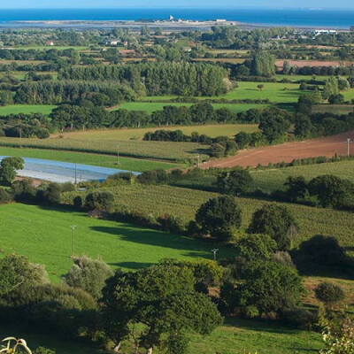 Vue des champs du Val de Saire Priméale