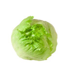 La salade Iceberg Priméale