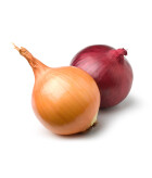 Les oignons