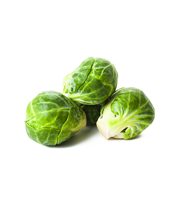 Les Choux de Bruxelles - Priméale