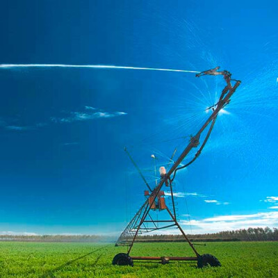 Arrosage des carottes