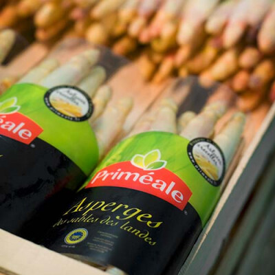Botte d'Asperges Priméale