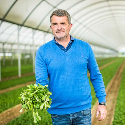 Producteur de mâche du Bassin-Nantais Priméale