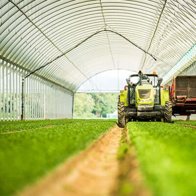 Serre Récolte Mécanique