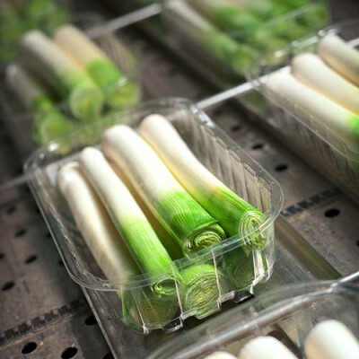 Barquette de poireaux