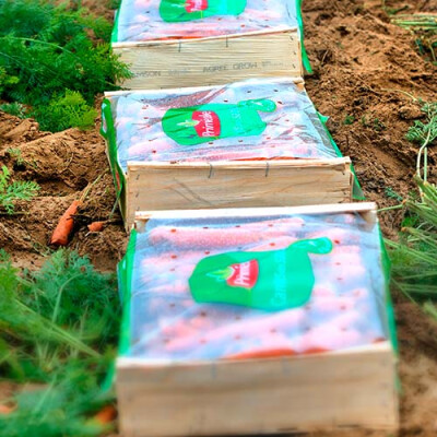 Colis de carotte des champs