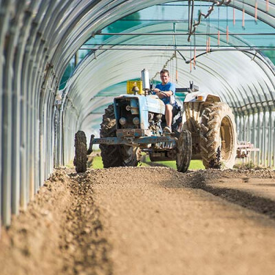Semis Serre en Provence Priméale