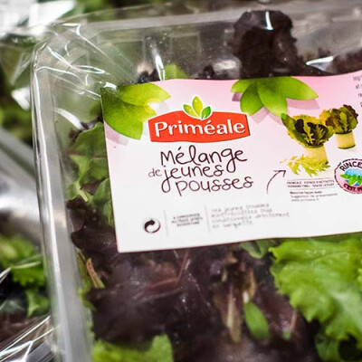 Mélange de Jeunes Pousses Priméale