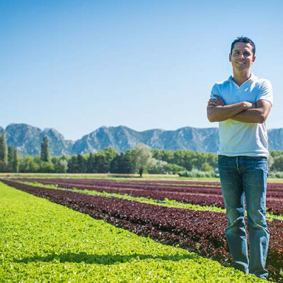 Producteur Priméale de Jeunes Pousses en Provence