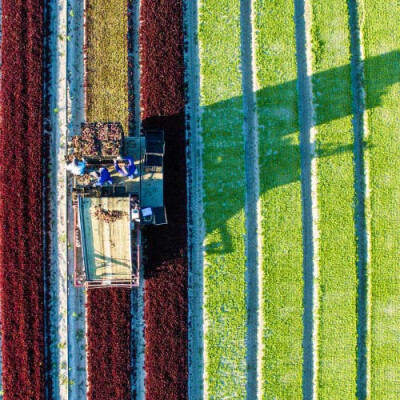 Tracteur dans le champ