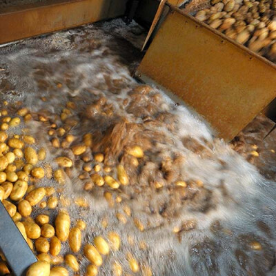 Lavage des pommes de terre