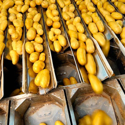 Pomme de terre station