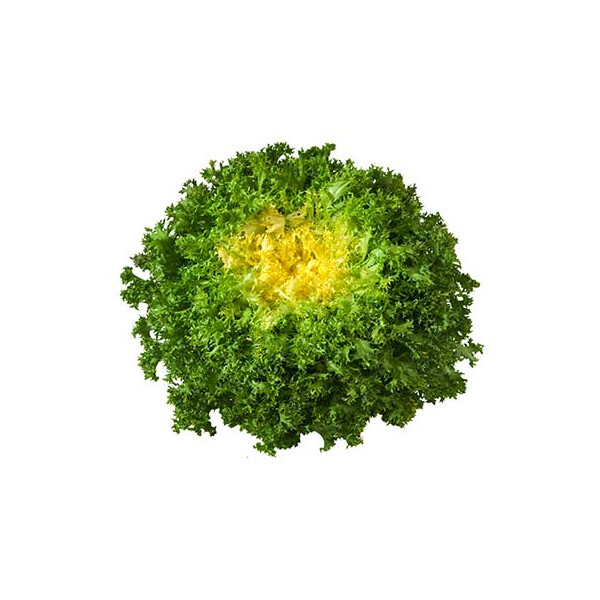 La Frisée