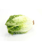 La sucrine Priméale