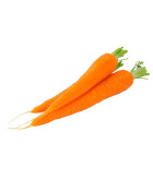 Carottes primeurs Priméale