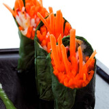 La carotte façon Nem