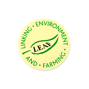 LEAF