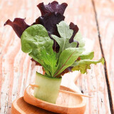 Mesclun facon maki