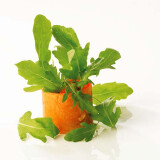 Tartare de légumes en croquant et roquette