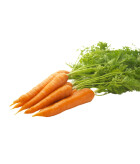 Les carottes fanes