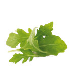 La Roquette