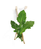 La Roquette Wasabi