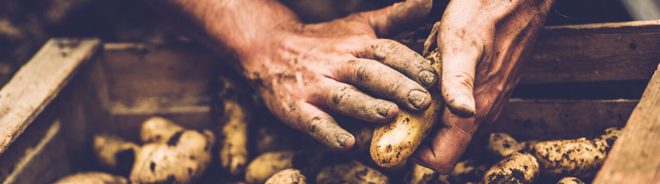 Améliorer les pratiques agricoles