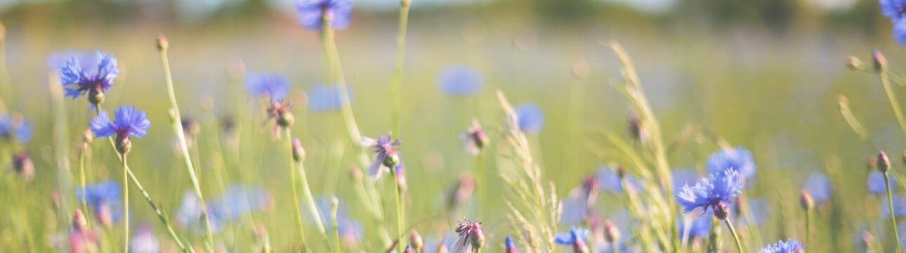 Préserver la biodiversité