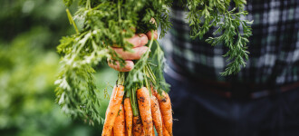 Notre promesse Sans Résidu de pesticides