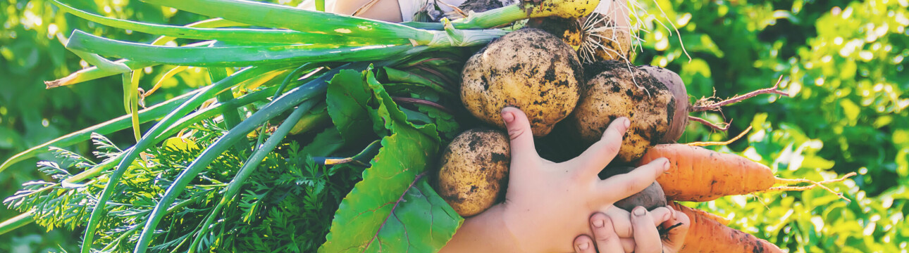 Faire aimer les légumes aux enfants, c&rsquo;est possible!