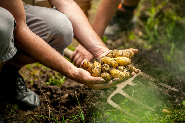 AMELIORER NOS PRATIQUES AGRICOLES