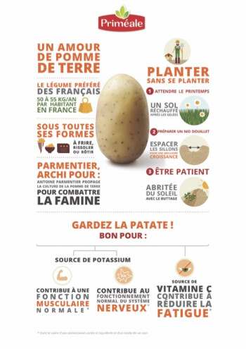 Tout savoir sur les pommes de terre pour purée et potage