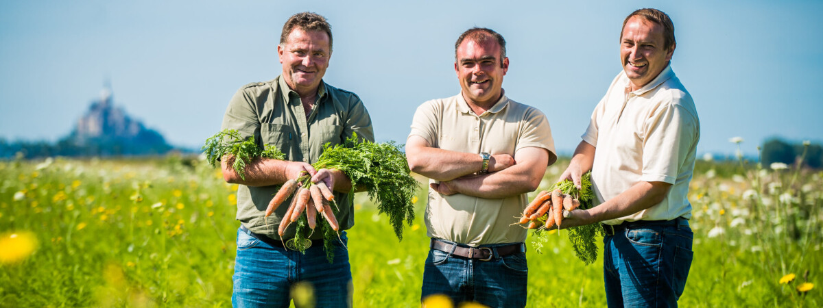 Priméale cultive le plaisir des légumes frais