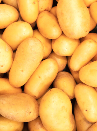 La pomme de terre, c’est de saison !