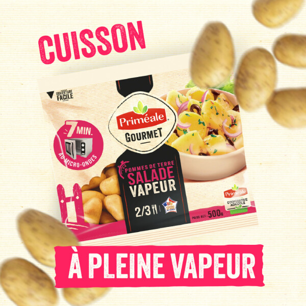 écouvrez notre référence pour l’été : La Salade Minute !